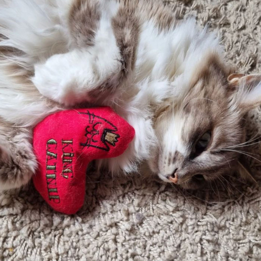 King Catnip Heart