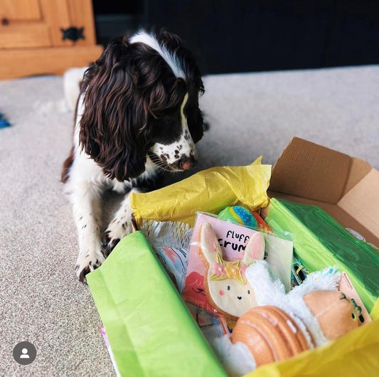 Unboxed BarkyBox showing toys and healthy dog treats for small breeds”