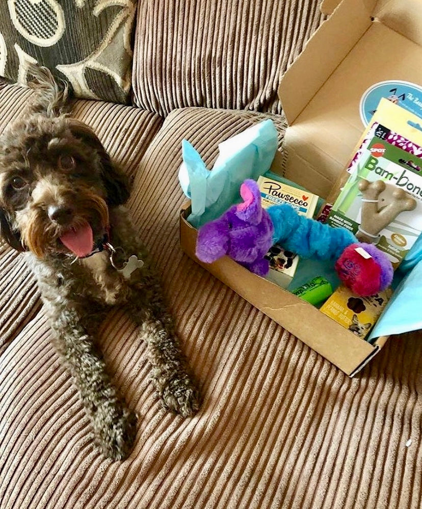 Personalised BarkyBox gift set with natural treats, plush toys, and paw print accessories