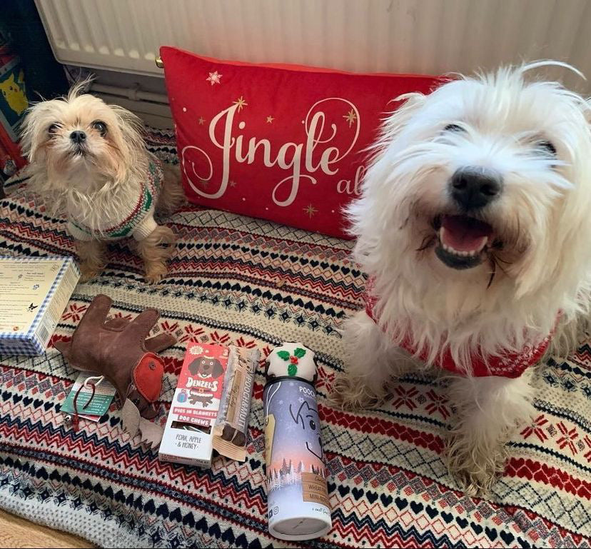 two small dogs in Christmas jumpers with festive BarkyBox treats and toys on a patterned rug