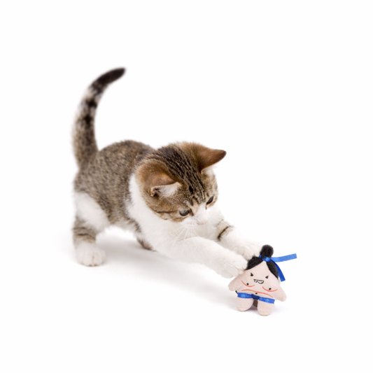 Cat playing with sumo plush toy with catnip – interactive cat toy