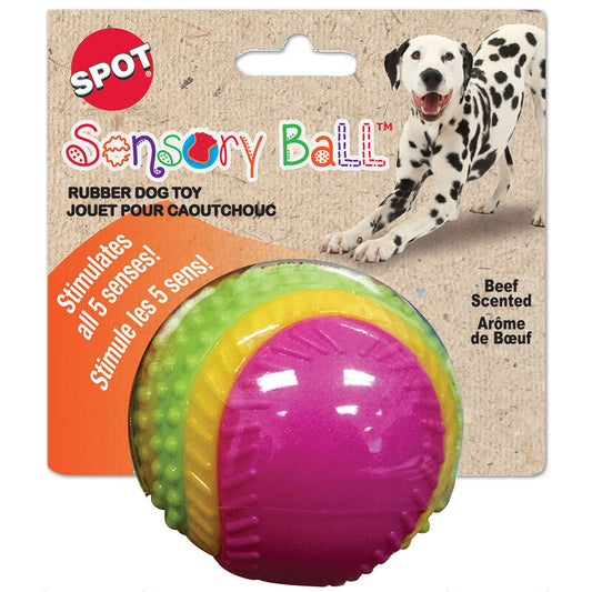 Spot Sensory Ball Assorted Dog Toy 3.25 in, Medium