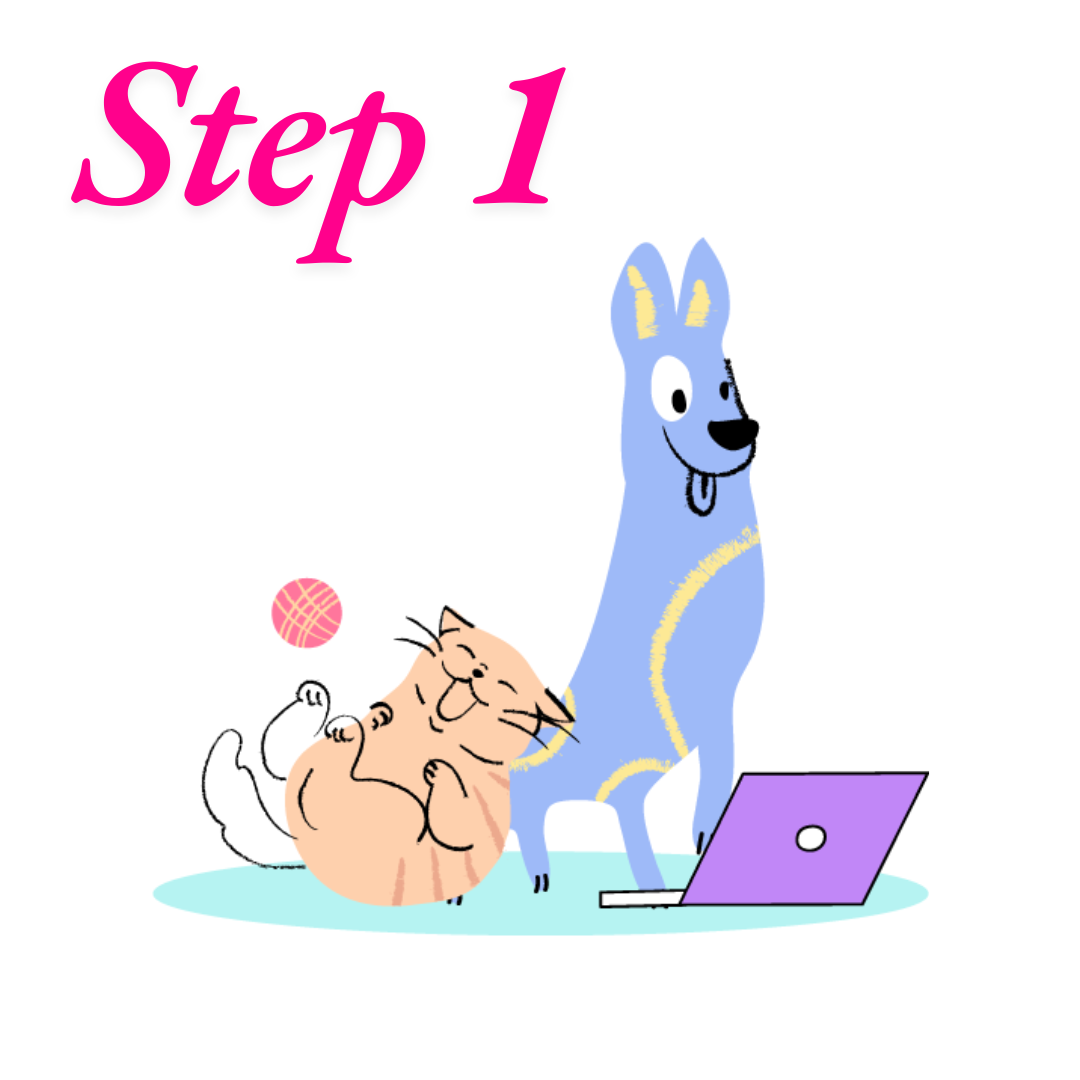 Step 1 illustration with cartoon dog and cat using a laptop and playing with a ball