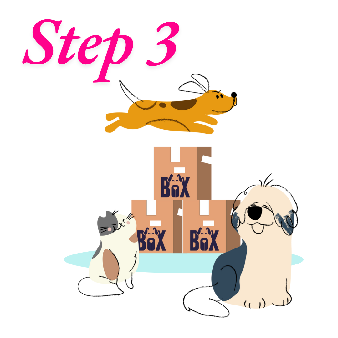 Step 3 illustration showing happy dogs and a cat with stacked BarkyBox packages